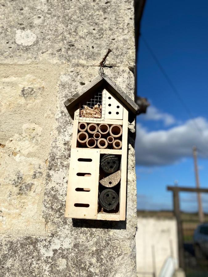 Métairie des Gâcheries Champagne-et-Fontaine Esterno foto
